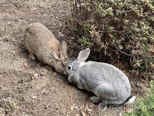 '이것' 먹은 20대男 복통·발열로 입원…'에볼라급' 1급 감염병 의심 사례 발생