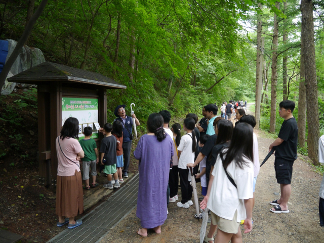 대전시 공원관리사업소가 운영한 힐링캠프에 시민들이 아이들과 함께 참여하고 있다. 사진제공=대전시