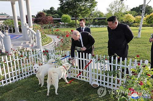 사진 제공=조선중앙통신