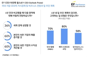 EY한영 “국내외 CEO, M&A·매각의지 있지만 현실은 미지수”