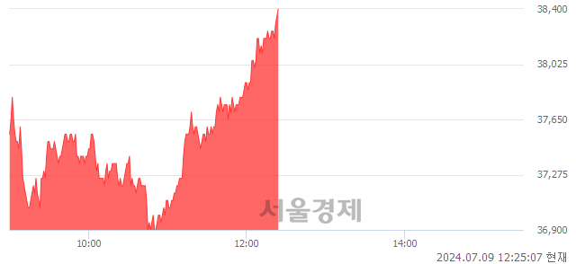 코피에스케이, 장중 신고가 돌파.. 38,300→38,400(▲100)