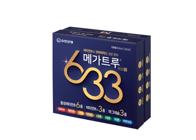 ‘메가트루 633 정'