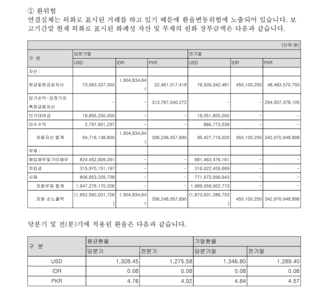 사진 제공=금융감독원 전자공시시스템