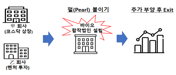 甲회사와 乙회사는 모두 주범 A씨가 실소유주였다.남부지검 제공