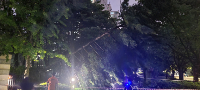 파주 문산에 시간당 100㎜ '물폭탄'…경기북부 8개 시·군 호우특보