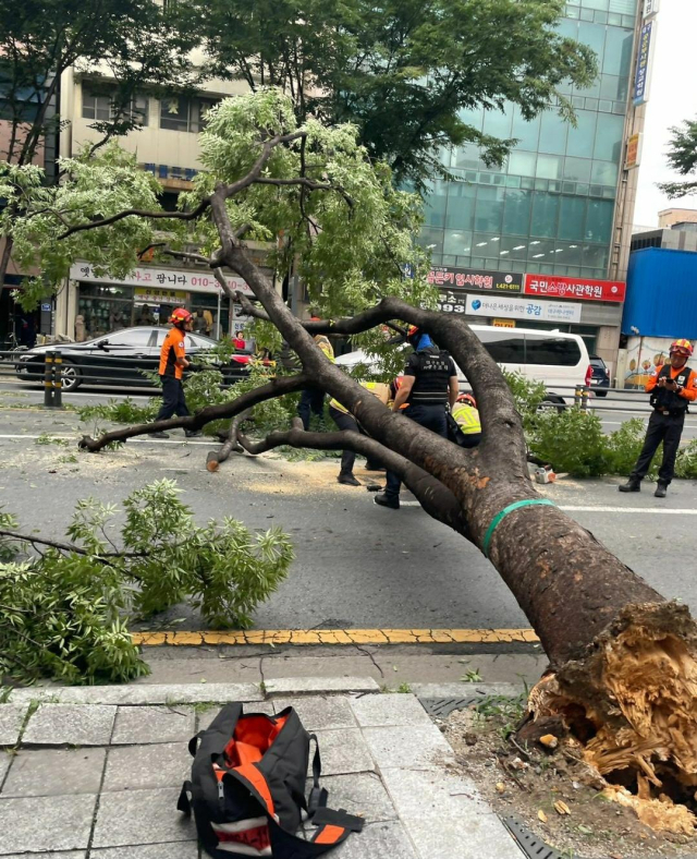 18일 오후 대구시 곳곳에서 돌풍이 불면서 피해가 잇따랐다. 연합뉴스