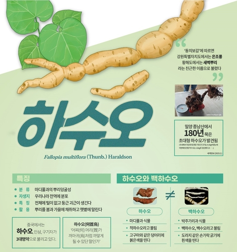 사진 제공=산림청