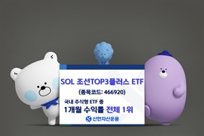 '슈퍼사이클 기대감'…SOL 조선 TOP3 ETF 한 달 수익률 1위