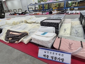 "알리 등 중국 e커머스 짝퉁 천지"…루이비통·샤넬 등 명품도 수두룩