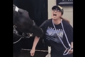 [영상] 英근위대와 사진 찍으려다 말에 물린 여성 ‘실신’…인기 관광지서 무슨 일?