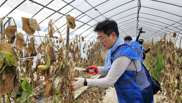 박찬대 더불어민주당 당 대표 직무대행과 지도부가 23일 최근 계속된 집중호우로 피해를 본 충남 부여 임천면 한 농가를 방문해 복구 작업을 돕고 있다. 연합뉴스