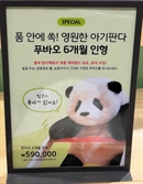 [영상]귀여운 ‘푸바오 수제 인형’ 가격은 안착해?…얼마에 팔길래