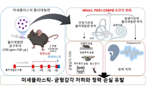 “미세플라스틱, 귀 건강 위협한다”