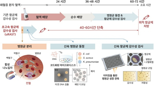 서울대 제공