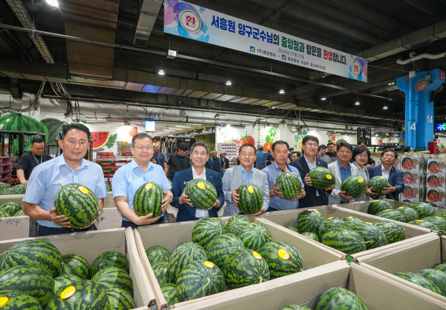 장마철 수박은 밍밍하고 맛없다? '이곳'서 자란 '진짜 설탕수박' 나왔다