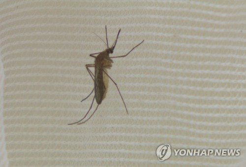 ‘이것’에 물리면 자칫 발작·목 경직·마비 증상 보여…전국에 ‘경보’ 발령