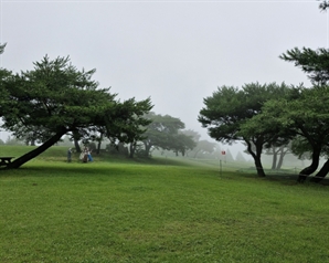 푸른 산 속에서 진짜 골프 치는 기분…경주 화랑의 언덕 파크골프장[주목이구장]