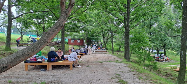 이용객들이 평상에서 휴식을 취하고 있다. 구장 제공