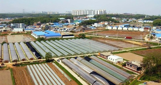 상속받은 수도권 텃밭…농사 못 짓는데 어떡하죠 [알부세].