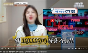“넷플릭스 없으면 손님 안와요”…숙박업소 점령한 ‘불법 OTT’