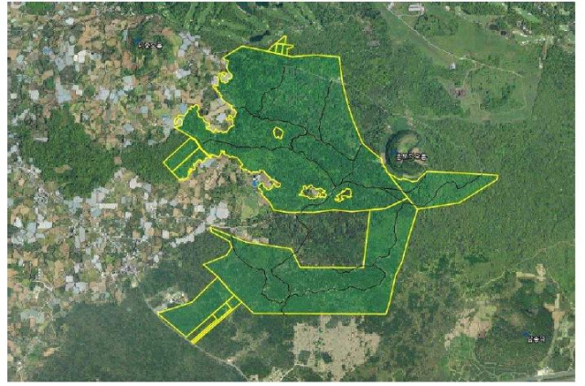 산림유전자원보호구역으로 지정고시된 저지곶자왈 위치도. 사진제공=국립산림과학원