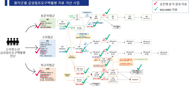 환자군별 급성림프모구백혈병 치료 개선 사업 프로토콜. 사진 제공=서울대병원 소아암·희귀질환사업단