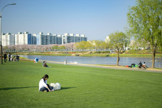 오천그린광장에서 피크닉을 즐기는 시민들과 관광객들. 사진 제공=순천시