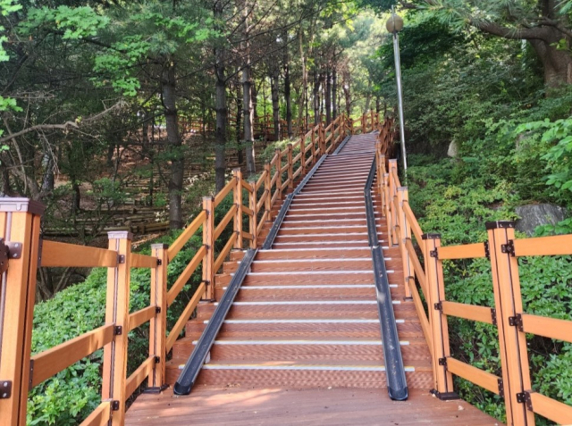 용인시 수지구 죽전동 대지산 등산로 환경 개선 모습. 사진 제공 = 용인시