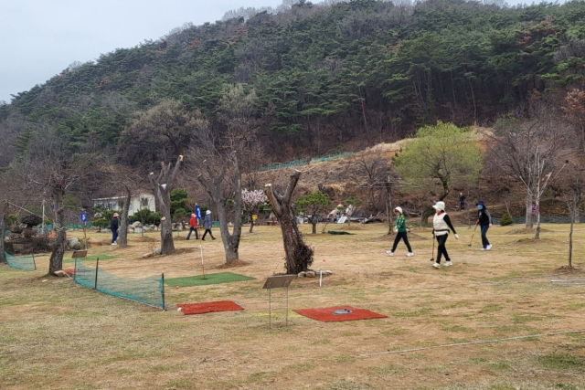 하구산농원파크골프장에서 방문객들이 경기를 즐기고 있다. 구장 제공