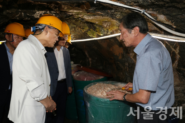 유인촌 장관이 1일 홍성 토굴 새우젓 저장소를 방문해 살펴보고 있다. 사진 제공=문체부