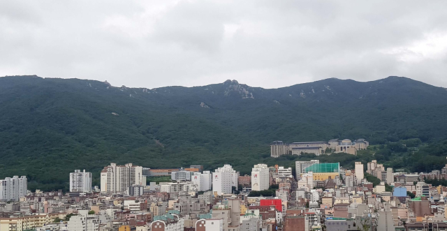 부산 금정산. 연합뉴스