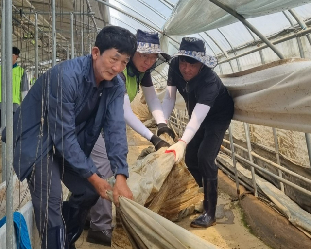 농협경제지주와 세도농협 임직원들이 2일 집중호우 피해 농가에서 수해복구 작업을 진행하고 있다. 사진 제공=농협