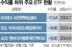 흔들리는 증시에…AI ETF 수익률 곤두박질