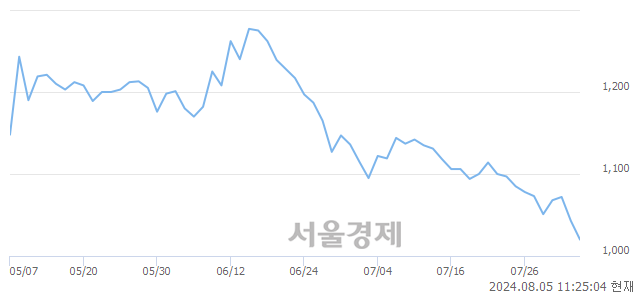 <유>마니커, 장중 신저가 기록.. 1,030→1,010(▼20)