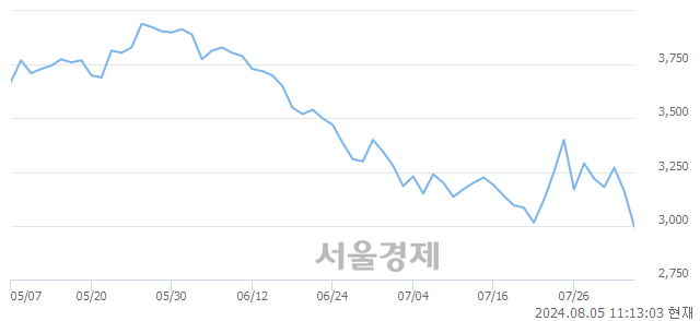 <유>휴비스, 장중 신저가 기록.. 3,005→2,970(▼35)