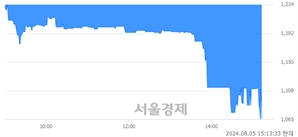 <코>디와이씨, 장중 신저가 기록.. 1,231→1,065(▼166)