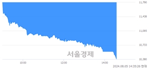 <코>더네이쳐홀딩스, 장중 신저가 기록.. 11,410→10,380(▼1,030)