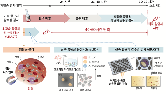 전일 역대급 폭락에도 상한가 기록한 '이 종목'… '업계 최초 성과'