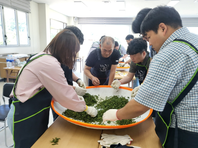 전남도 유기농 생태마을 보성 영천마을에서 관광객들이 녹차 만들기 등 체험을 즐기고 있다. 사진 제공=전라남