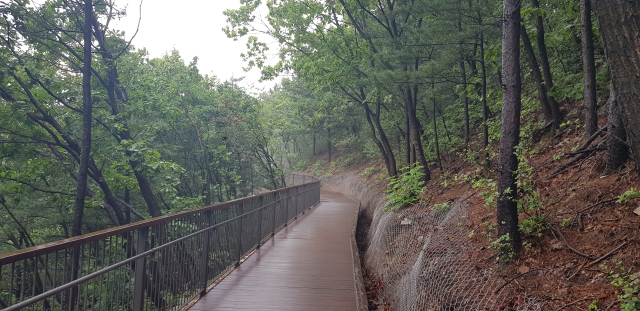 인천시 남동구 만수산 무장애길 도시숲 전경. 사진제공=남동구