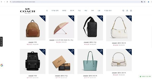 코치 아웃렛 사칭 해외 쇼핑몰, 사진 제공=한국소비자원