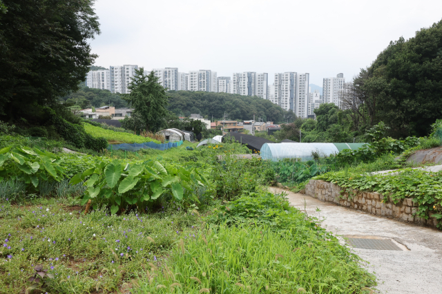 [특징주] 12년만 수도권 그린벨트 해제…신원종합개발 등 관련주 급등