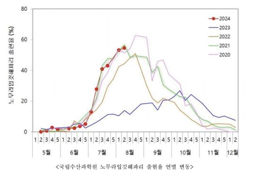 수과원 해파리 모니터링 자료 캡처