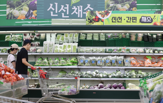 11일 서울의 한 대형마트에서 시민들이 장을 보고 있다. 연합뉴스