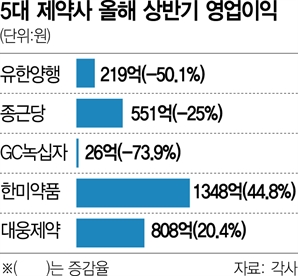 제약사 '빅5' 상반기 실적… 자체 신약이 희비 갈랐다