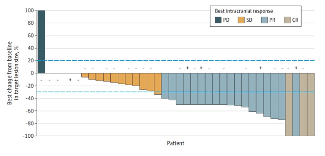 그래프 세로축은 뇌 내 암 축소율, 가로축은 환자가 보인 암 축소 정도를 뜻한다. 영상검사에서 뇌 내 암이 완전히 사라진(-100% 기록) 완전반응(CR) 환자도 존재했다. 사진 제공=연세암병원