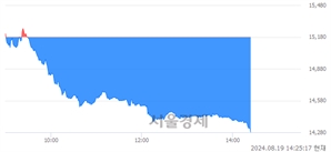 <코>하나마이크론, 장중 신저가 기록.. 14,280→14,260(▼20)