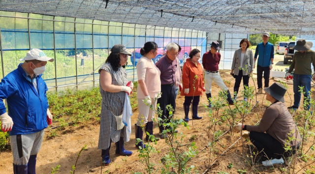 농촌 돌봄농장. 사진 제공=전라남도