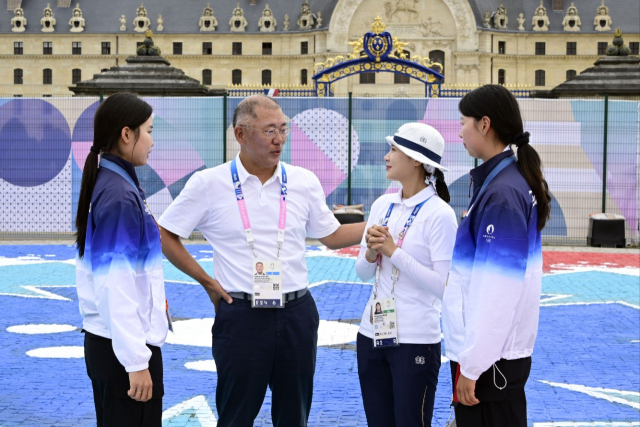 ①대담 ②혁신 ③포용…경영학계도 주목한 정의선 '금빛 리더십'