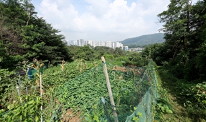 [단독] 서초구도 그린벨트 해제 추진…집단취락 16곳 첫 전수 조사